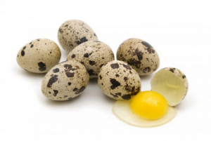 польза перепелиных яиц для желудка