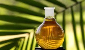 Пальмовое масло для волос против сухости и ломкости