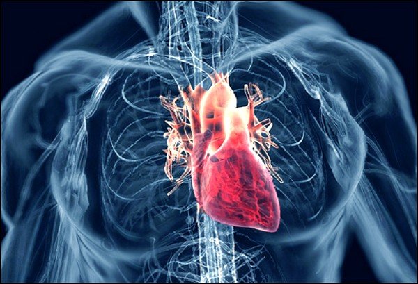 Основной причиной появления реакции в виде кашля кардиологи считают слабость сердечной мышцы