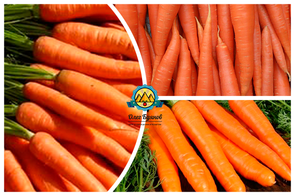 овощ морковка