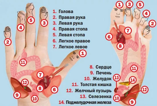 Косточка на большом пальце ноги: причины, симптомы и лечение в домашних условиях