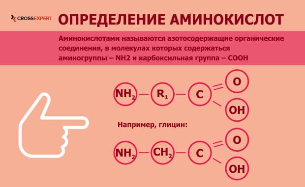 определение аминокислот