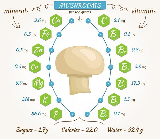 схема витаминов и минералов в шампиньонах