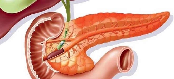 Как поддержать поджелудочную железу народными средствами и медикаментами?