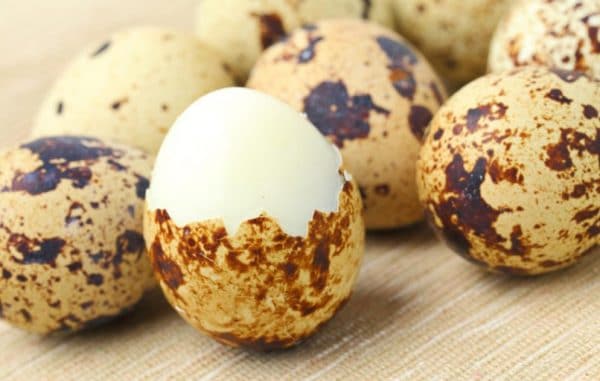 Перепелиные яйца менее популярны, чем куриные, но имеют не меньше, а то и больше полезных компонентов в составе