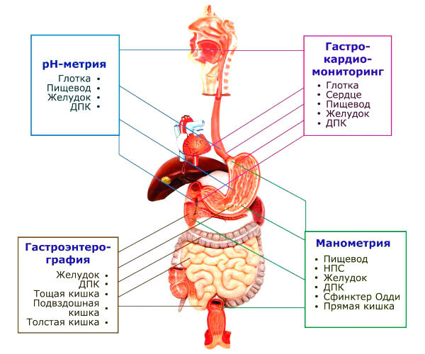 Методы исследования органов ЖКТ