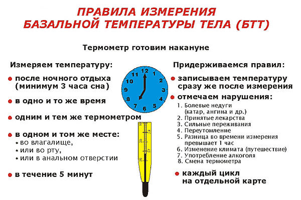 Правила измерения базальной температуры тела