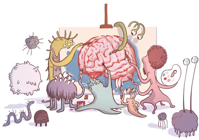 Невидимая ось:  Как наш кишечник разговаривает с нашим мозгом 