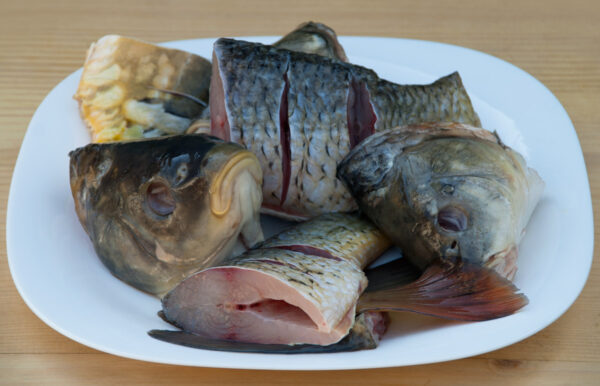 рыбный бульон- основа вкусного супа