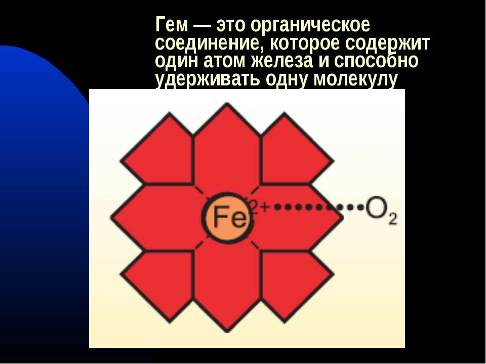 физиологическое действие железа