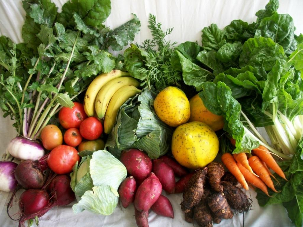 растительная пища для диеты