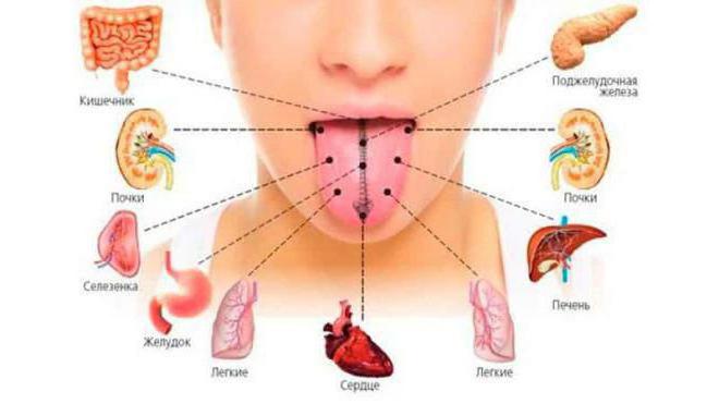 о чем говорит цвет языка человека