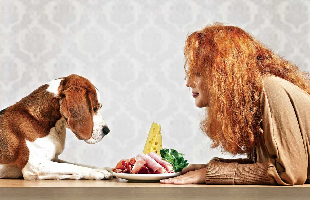 Здоровое питание для человека и собаки