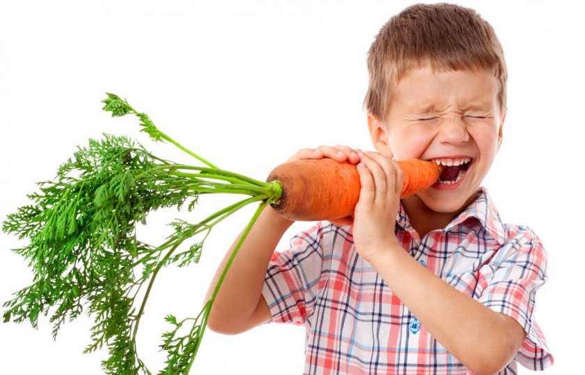 Свойства моркови для детей