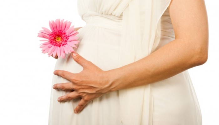 Красивая  беременная женщина с герберой