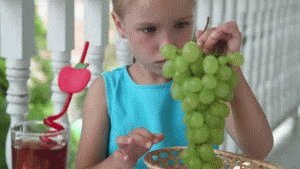 Веточка винограда
