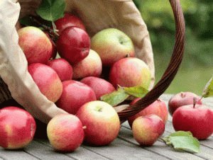 Свежие яблоки