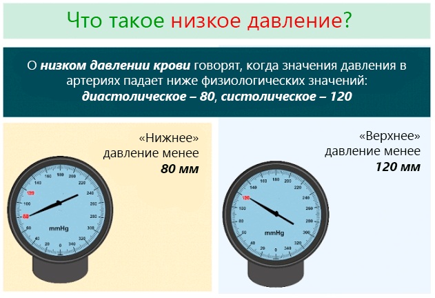 Лечебные свойства корня девясила. Рецепты, как заготовить, заваривать, принимать траву. Противопоказания