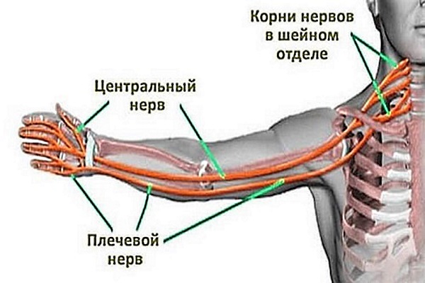 Немеют руки по ночам. Причины во время сна, что делать, как лечить, к какому врачу обратиться