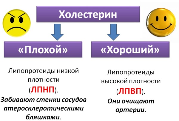 Диета при повышенном холестерине у женщин в крови. Стол 10, меню на 7 дней. Запрещенные, разрешенные продукты питания