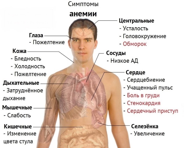 Глистная инвазия. Симптомы, диагностика и лечение у взрослых и детей