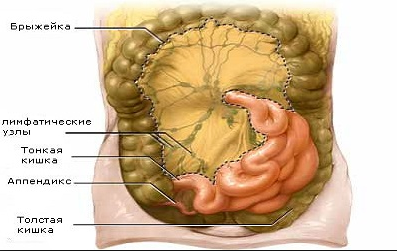 вздутие кишечника справа внизу живота