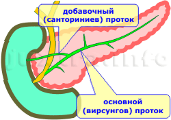 добавочный (санториниев) поджелудочной железы