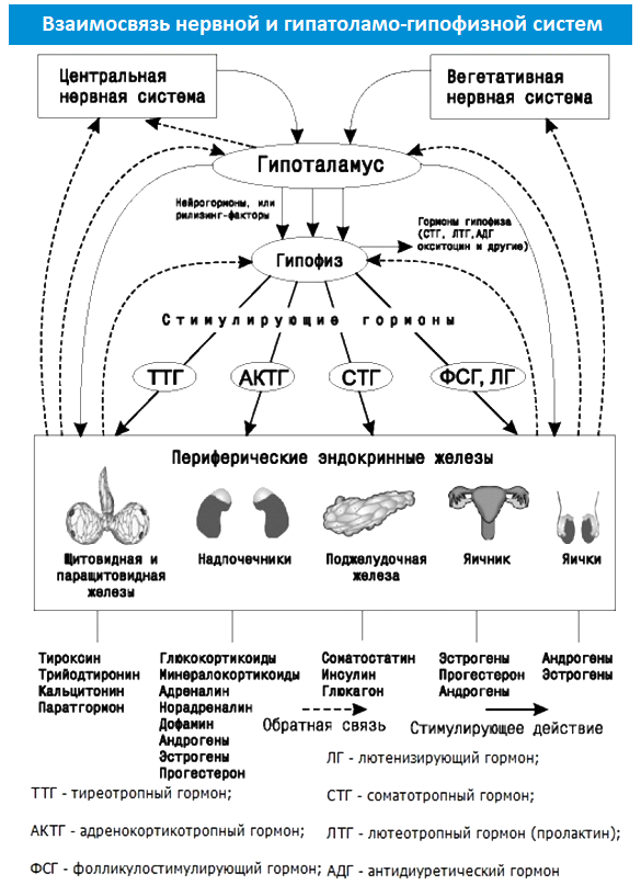 Метод лечения