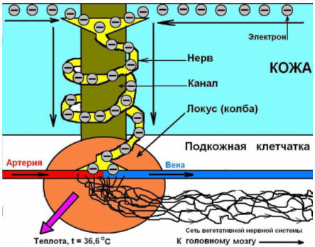 схема БАТ