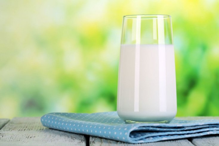 Молоко — ценный продукт питания