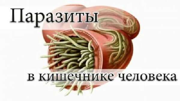 Паразиты в кишечнике