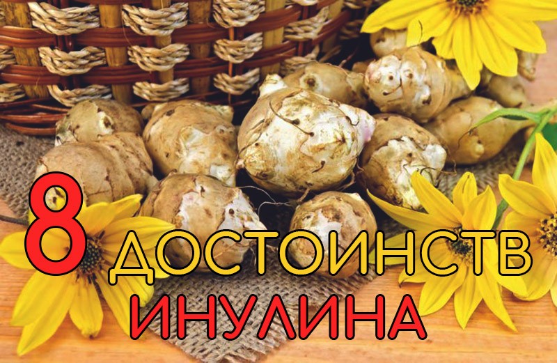 инулин