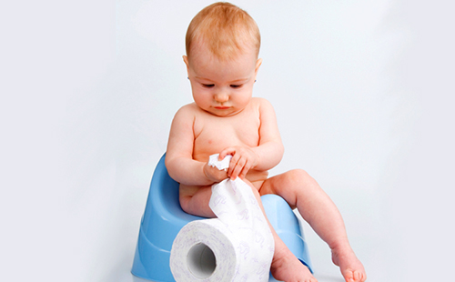 Малыш на горшочке прикидывает сколько оторвать туалетной бумаги