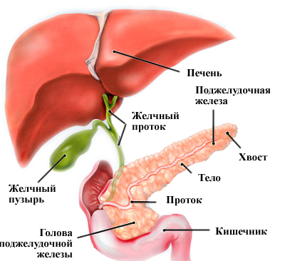 рак поджелудочной железы симптомы