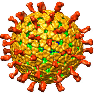 ротавирус