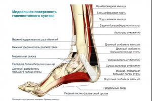 Боль в лодыжке