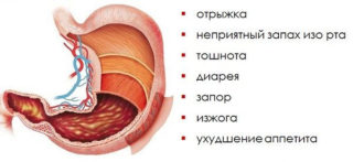 Почему при гастрите боль отдает в спину?