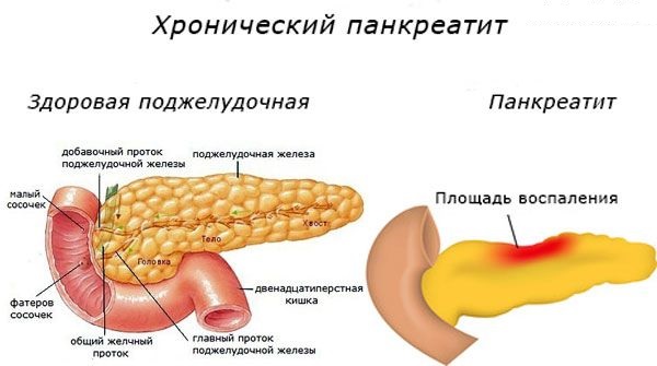 Альфа амилаза