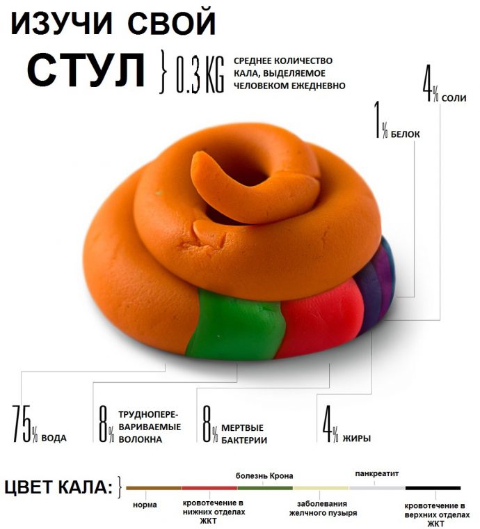 каким должен быть кал