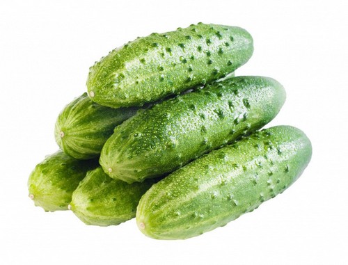 Парниковые огурцы