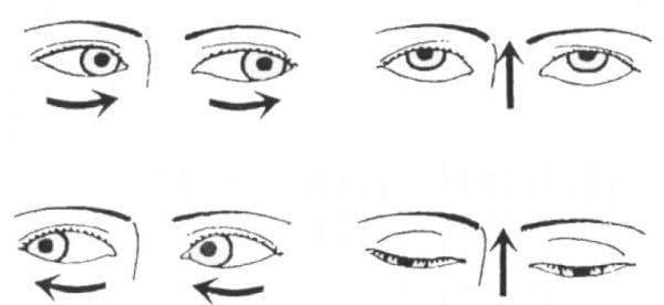 зарядка глаз переводить глаза из пола на потолок