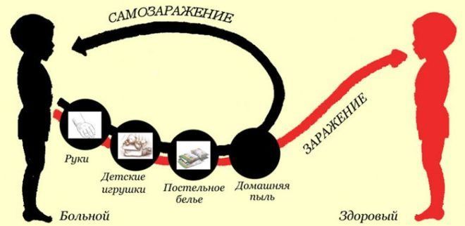 Глистные заболевания