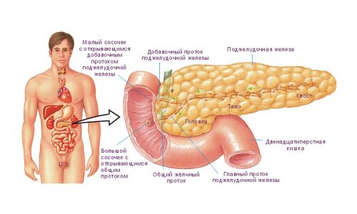 Липоматоз поджелудочной железы носит необратимый характер и приводит к жировой дистрофии поджелудочной железы с утратой жизненно важных функций