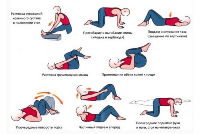 Упражнения при щитовидке
