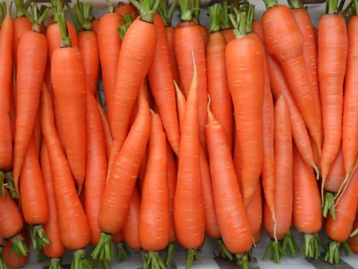Наибольшая польза от сырой моркови