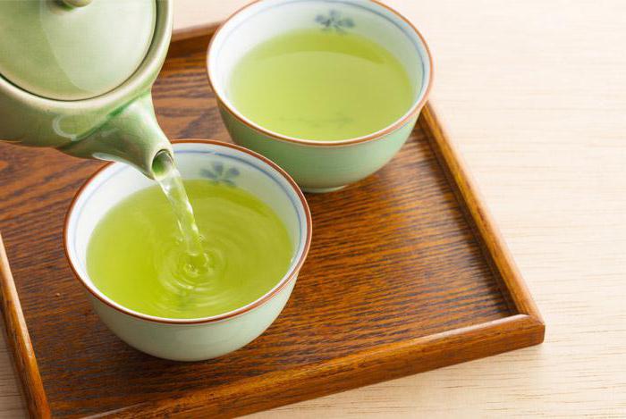 зеленый чай при гастрите с пониженной кислотностью