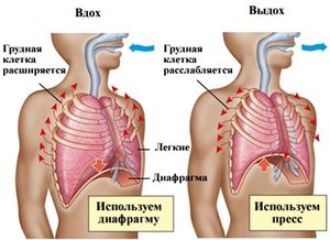 Дыхательная гимнастика