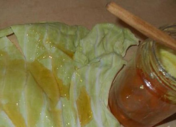 Для большего эффекта капустные листья можно смазать медом
