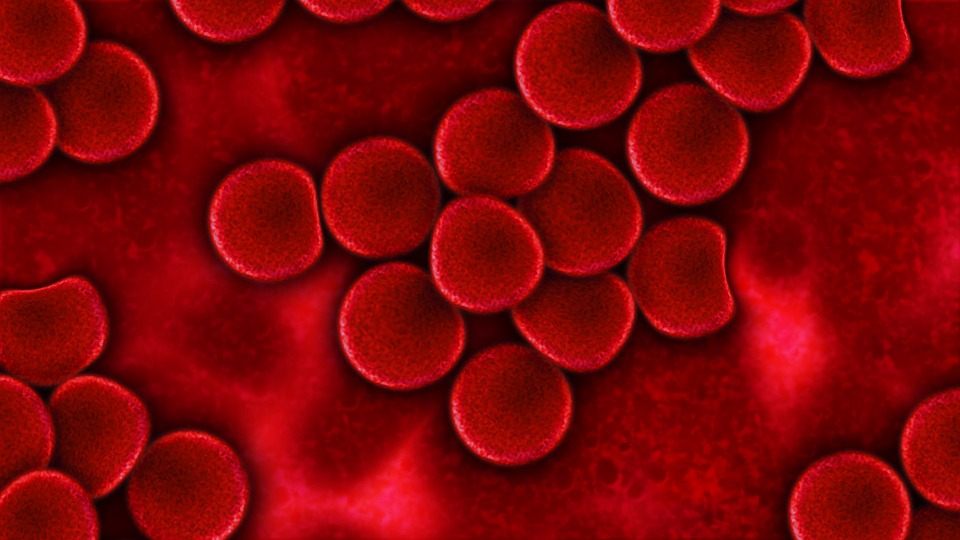 Замер уровня СОЭ в крови человека проводится несколькими способами, но их суть практически идентична.
