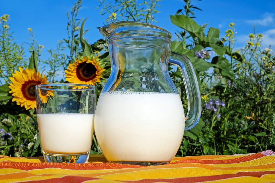 Людям, склонным к запорам, следует ограничить употребление молока и молочных продуктов.